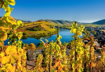 R.C. Collection: Wines and sights of the Moselle Valley